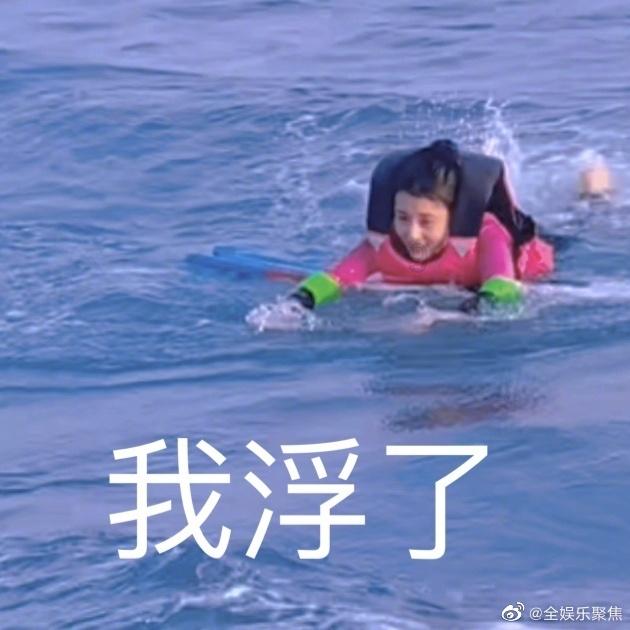 小猫钓鱼正版下载中文版